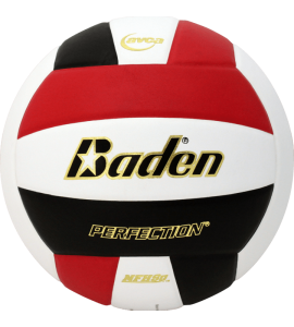 BADEN PERFECTION LEATHER VOLLEYBALL